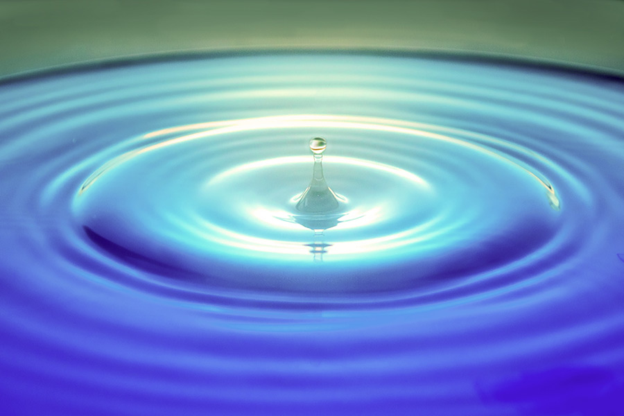 Unchecked Sin — a reflection by Peggy Park