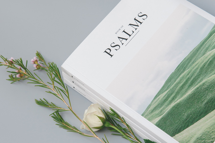Protection For Christians — a reflection by Peggy Park
