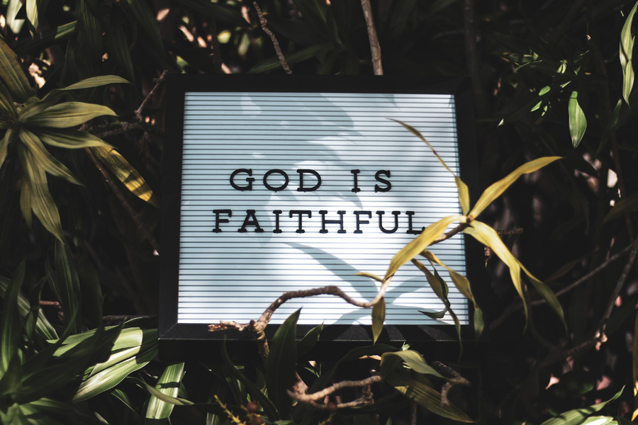 Faith (Part 1) — a reflection by Peggy Park