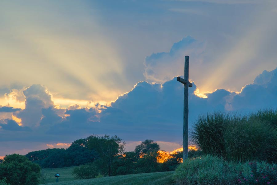 Rays of The Son — a reflection by Peggy Park