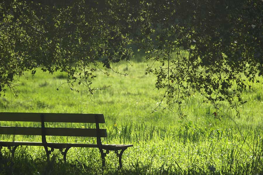 Lay the Burden Down — a reflection by Peggy Park