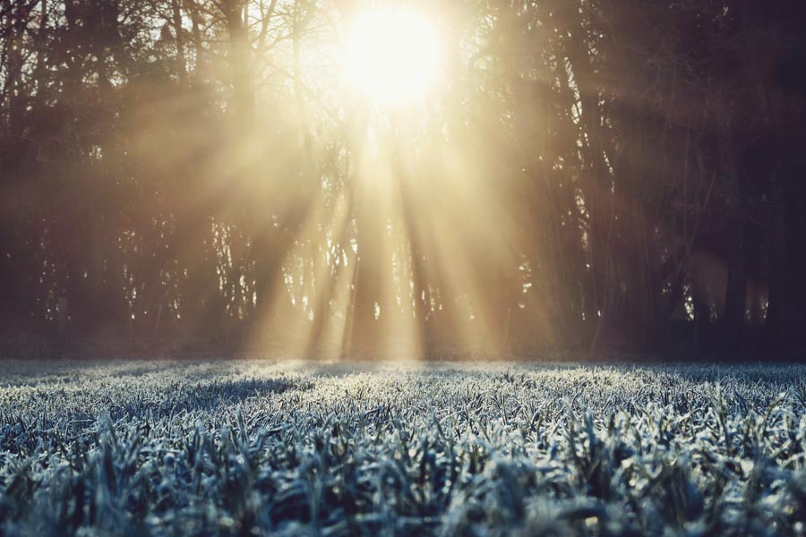 Living in Newness — a reflection by Peggy Park