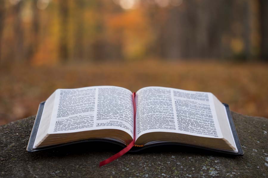 Zeal For the Lord — a reflection by Peggy Park
