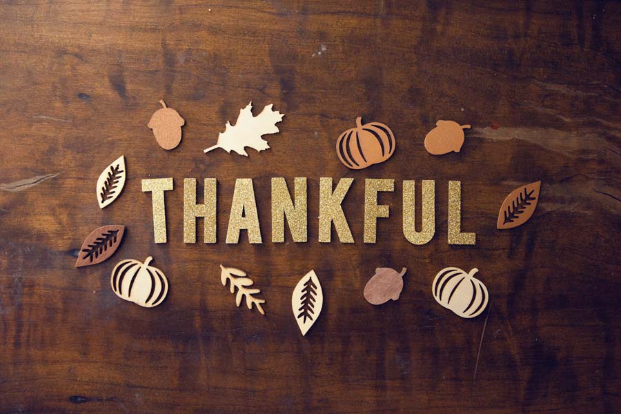 Gratitude by Park Praise Publications